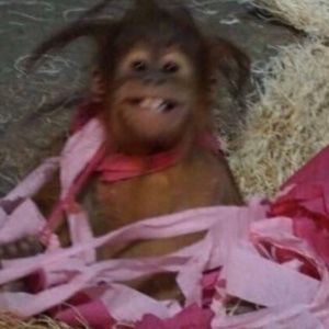 Meet your Posher, Talayah